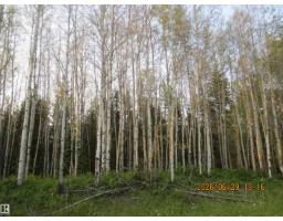 13530 Township Road 550, Rural Yellowhead, AB T7E3Z4 Photo 70