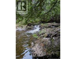 1321 Principale, Beresford, NB E8K1A1 Photo 48