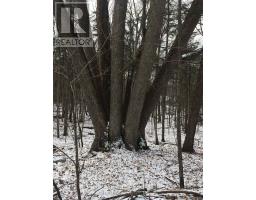 1391 Huntmar Drive, Ottawa, ON K0A1L0 Photo 17