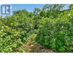 1391 Huntmar Drive, Ottawa, ON K0A1L0 Photo 13