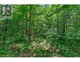 1391 Huntmar Drive, Ottawa, ON K0A1L0 Photo 14