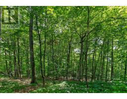 1391 Huntmar Drive, Ottawa, ON K0A1L0 Photo 15