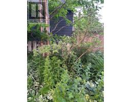 55 West Street thumbnail 23