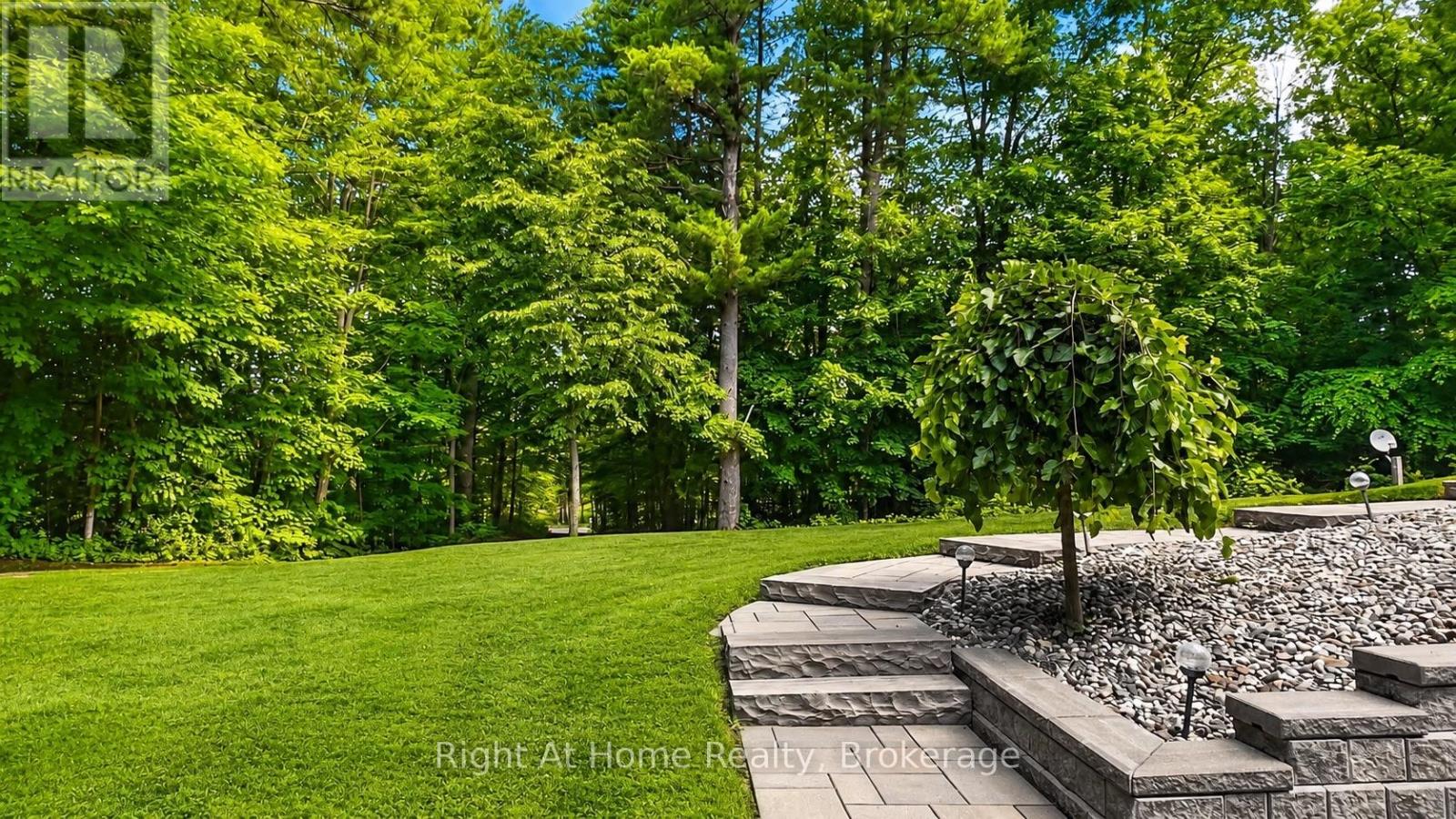 919 JAMIESON ROAD - 50