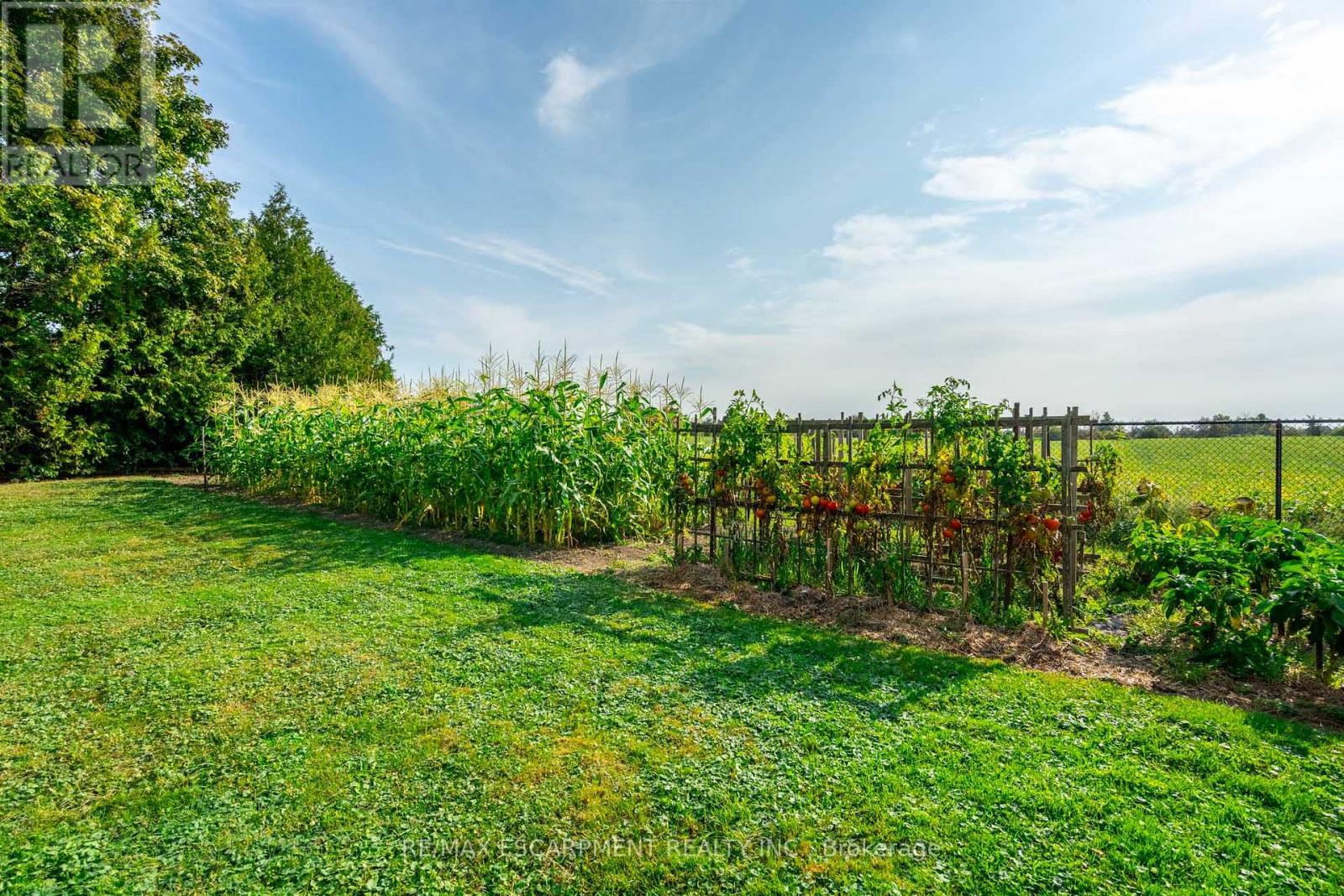 515 TRINITY CHURCH ROAD - 42