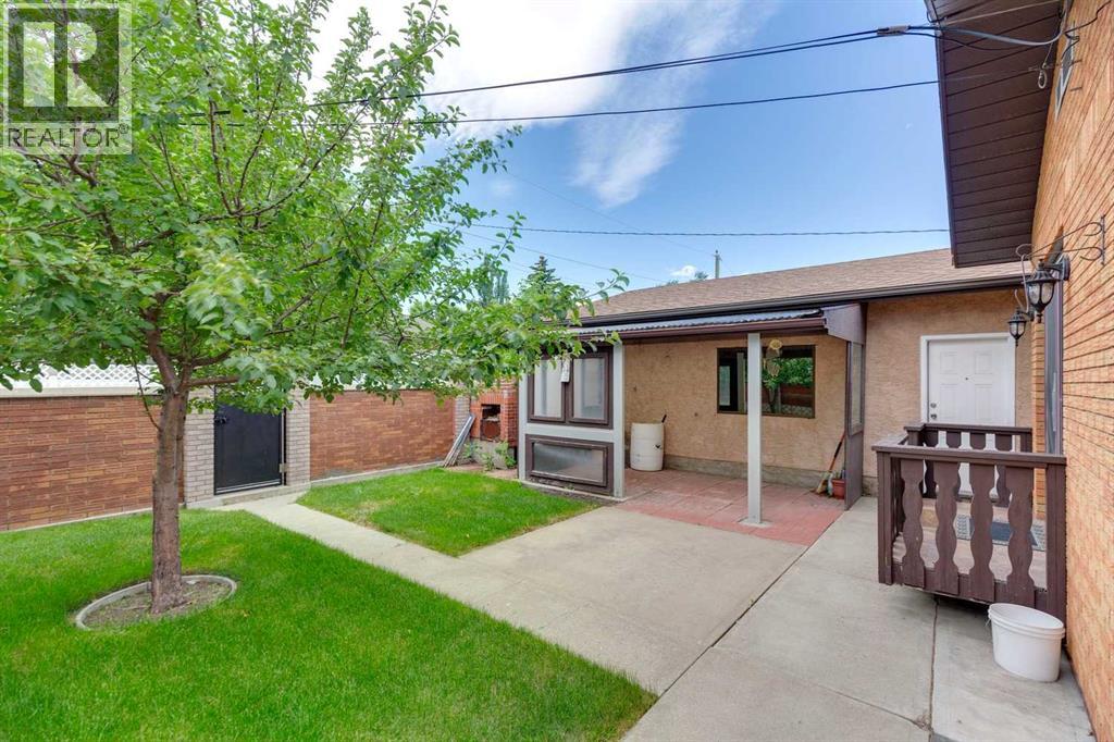 Rear Yard and Garage