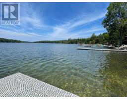 81 Andrew Drive, Tiny, ON L9M0B4 Photo 33