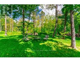9229 8th Line, Halton Hills, ON L7G4S5 Photo 46