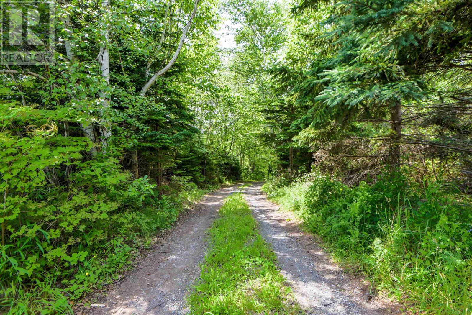61 Blaine MacKeil Road - 9