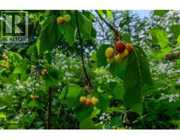 201 Harrison Ave, Salt Spring, BC V8K2N3 Photo 31