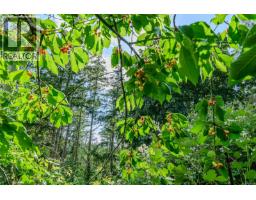 201 Harrison Ave, Salt Spring, BC V8K2N3 Photo 32