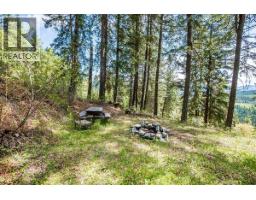 Kitchen - 1732 Zwicky Road, Kaslo, BC V0G1M0 Photo 14