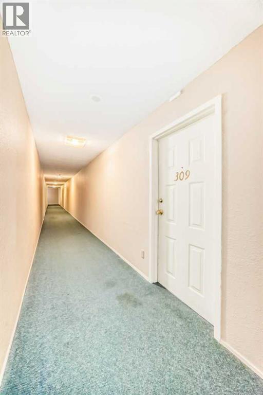 #309 924 14 Avenue SW - 36