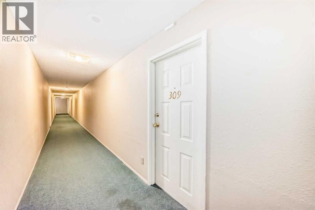 #309 924 14 Avenue SW - 35