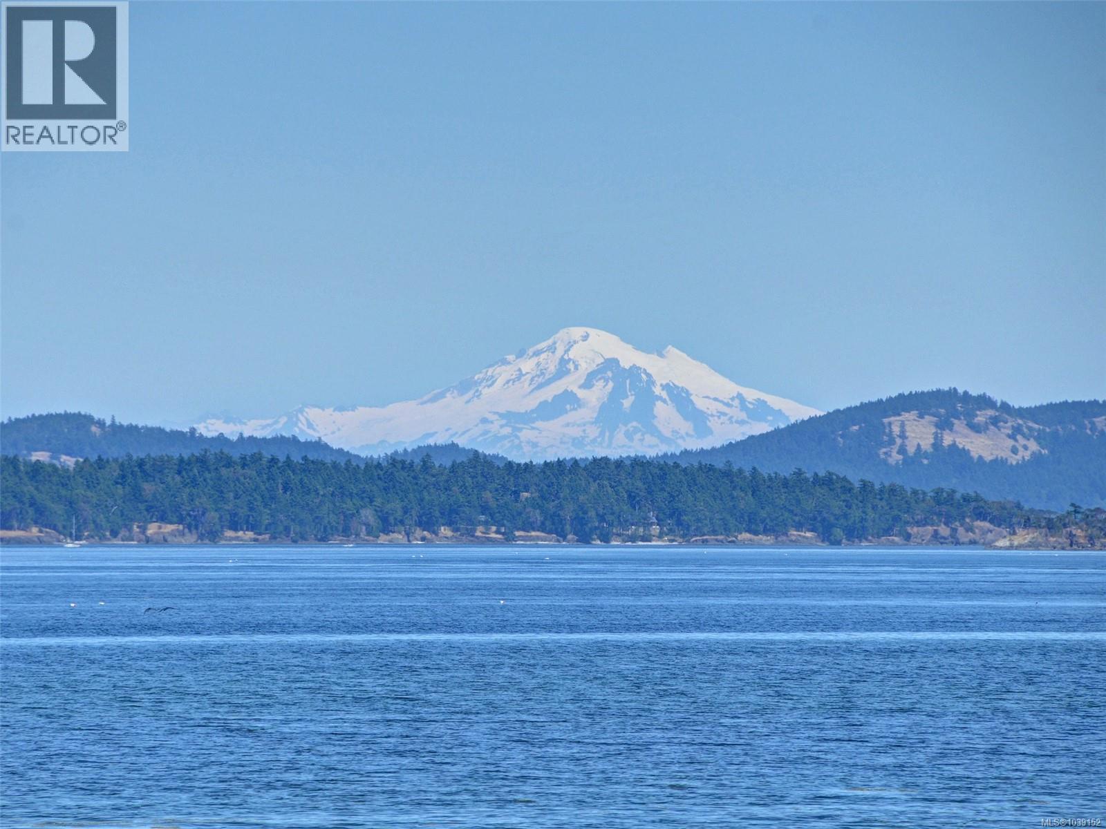 #201 2461 Sidney Ave - 29