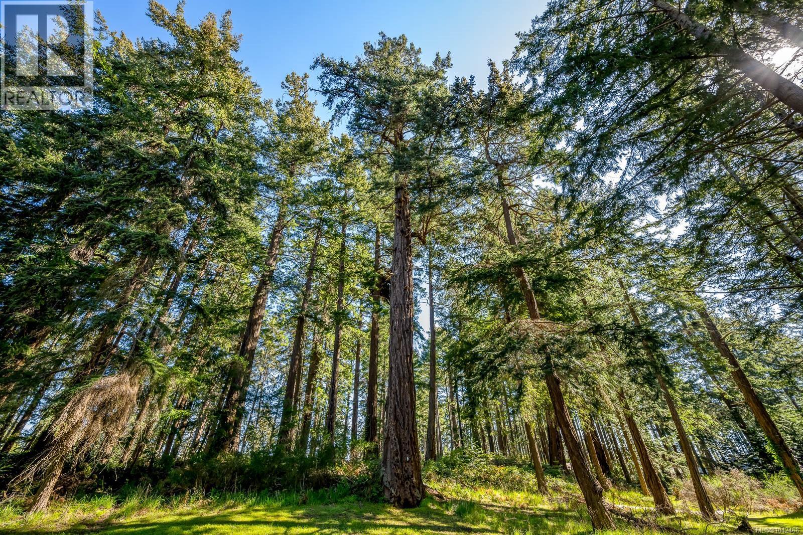745 Lazo Rd, Comox