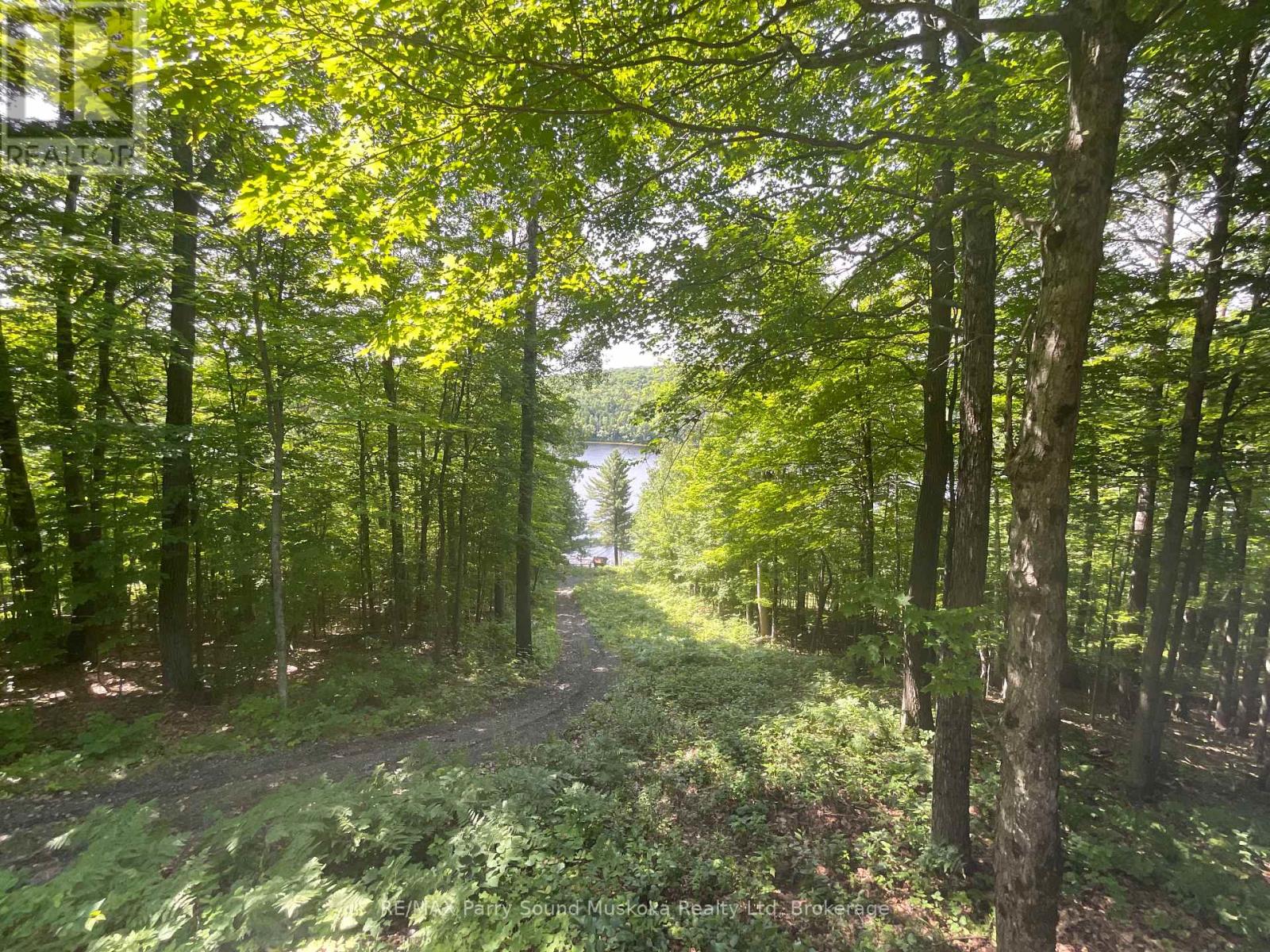 1117 LIMBERLOST POINT ROAD - 22