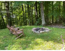 1117 Limberlost Point Road, Parry Sound Remote Area, ON P0H2R0 Photo 21