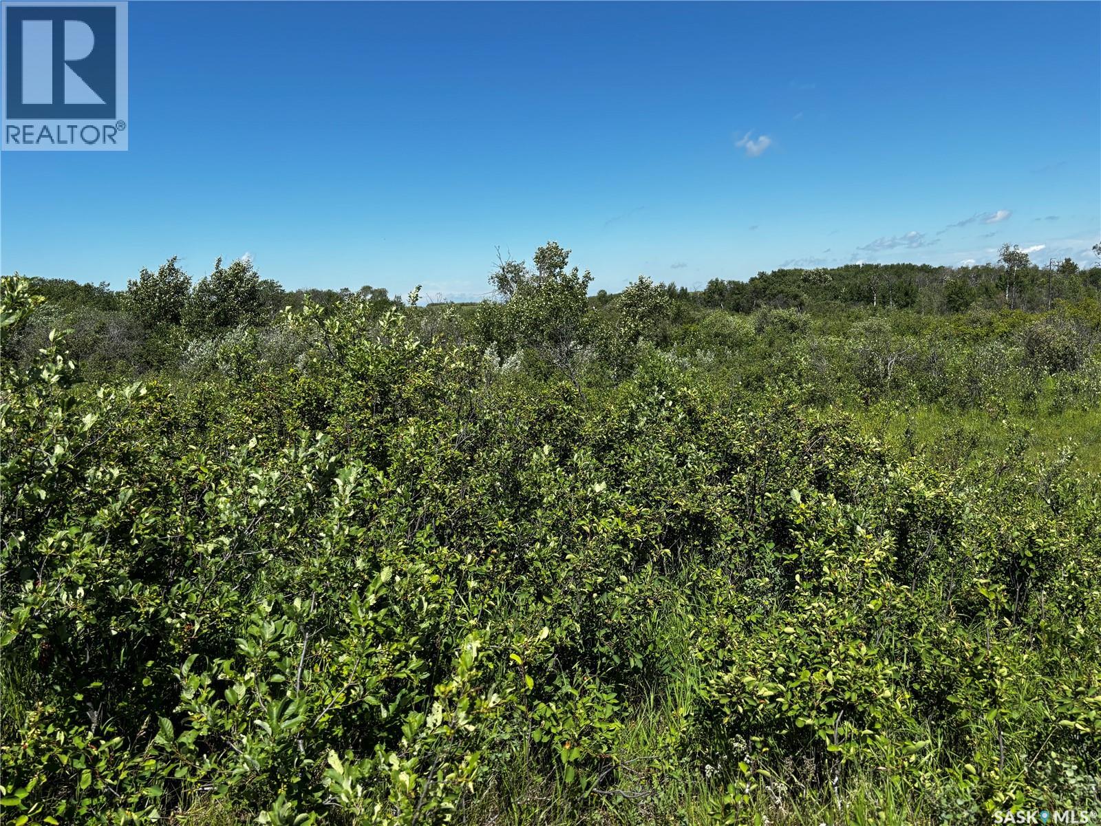 Sherbrooke Trail Land - photo 4