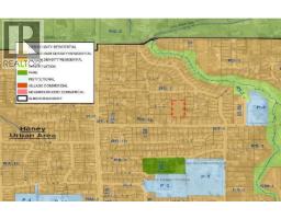 20506 123b Avenue, Maple Ridge, BC V2X0L9 Photo 6