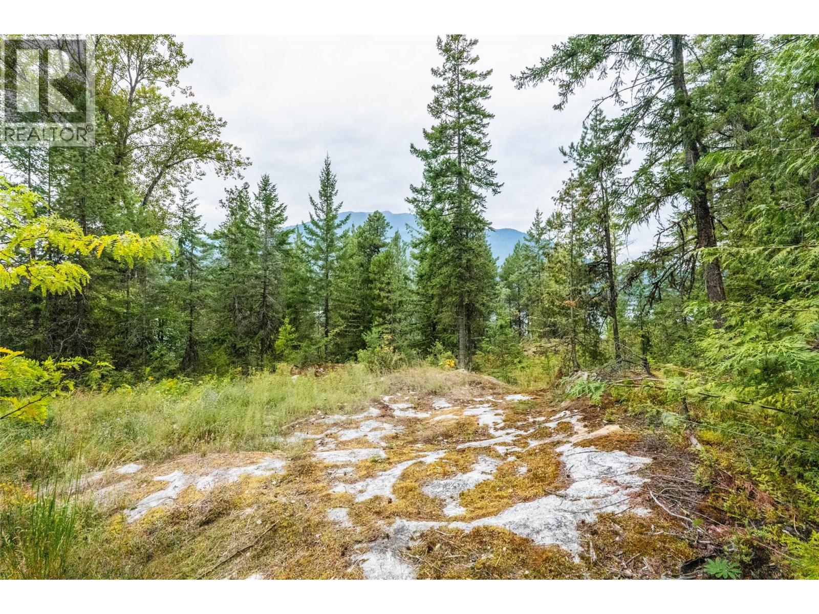 183-191 Kootenay Lake Road - 16