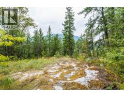 183-191 Kootenay Lake Road, Procter, BC V1L0B6 Photo 16