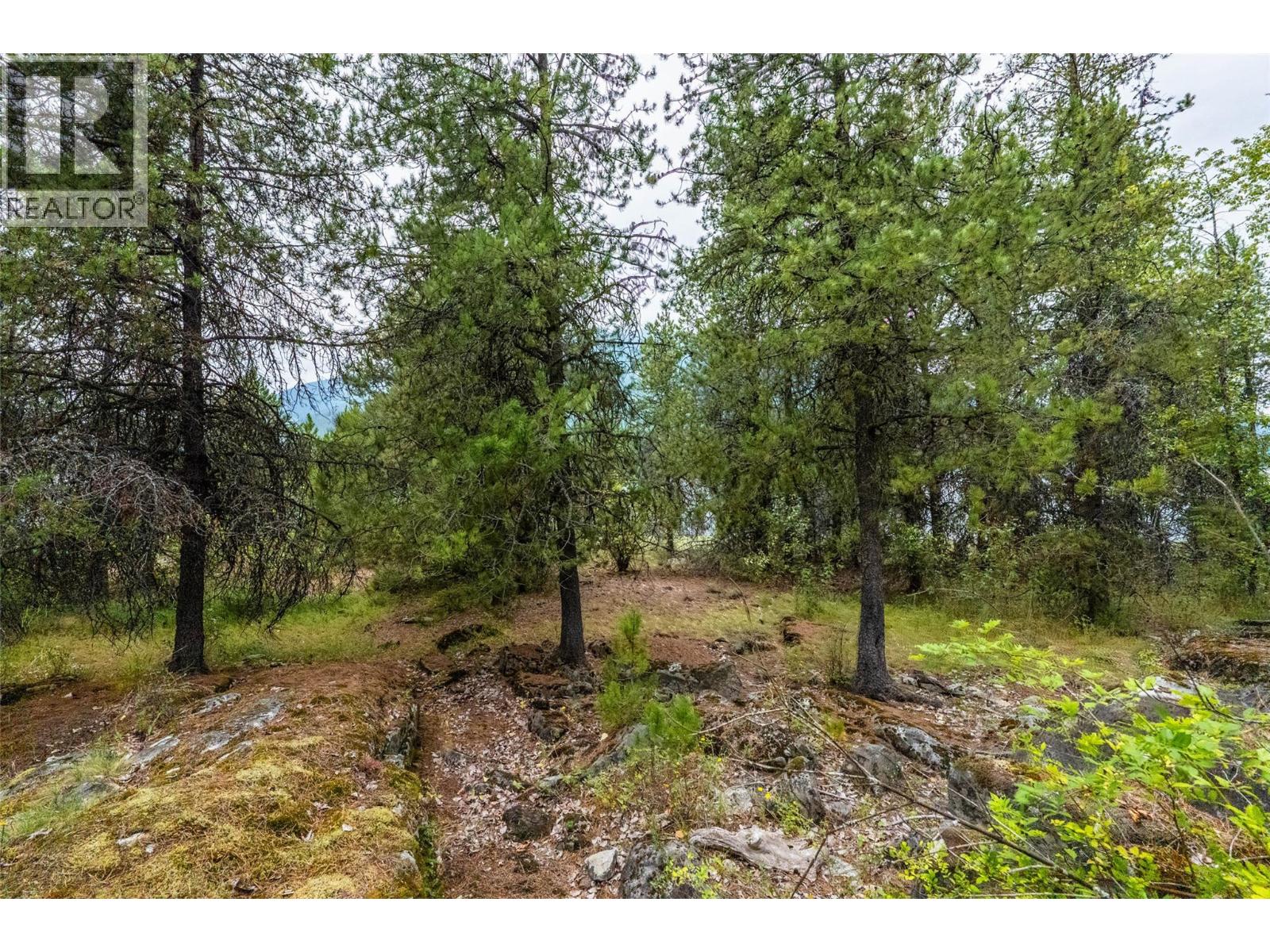 183-191 Kootenay Lake Road - 18