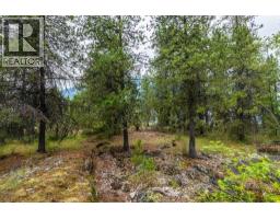 183-191 Kootenay Lake Road, Procter, BC V1L0B6 Photo 18