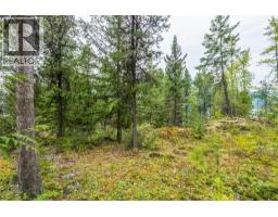 183-191 Kootenay Lake Road, Procter, BC V1L0B6 Photo 17