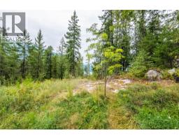 183-191 Kootenay Lake Road, Procter, BC V1L0B6 Photo 15