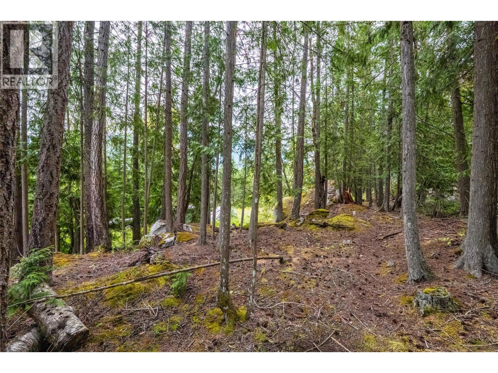 183-191 Kootenay Lake Road - 13