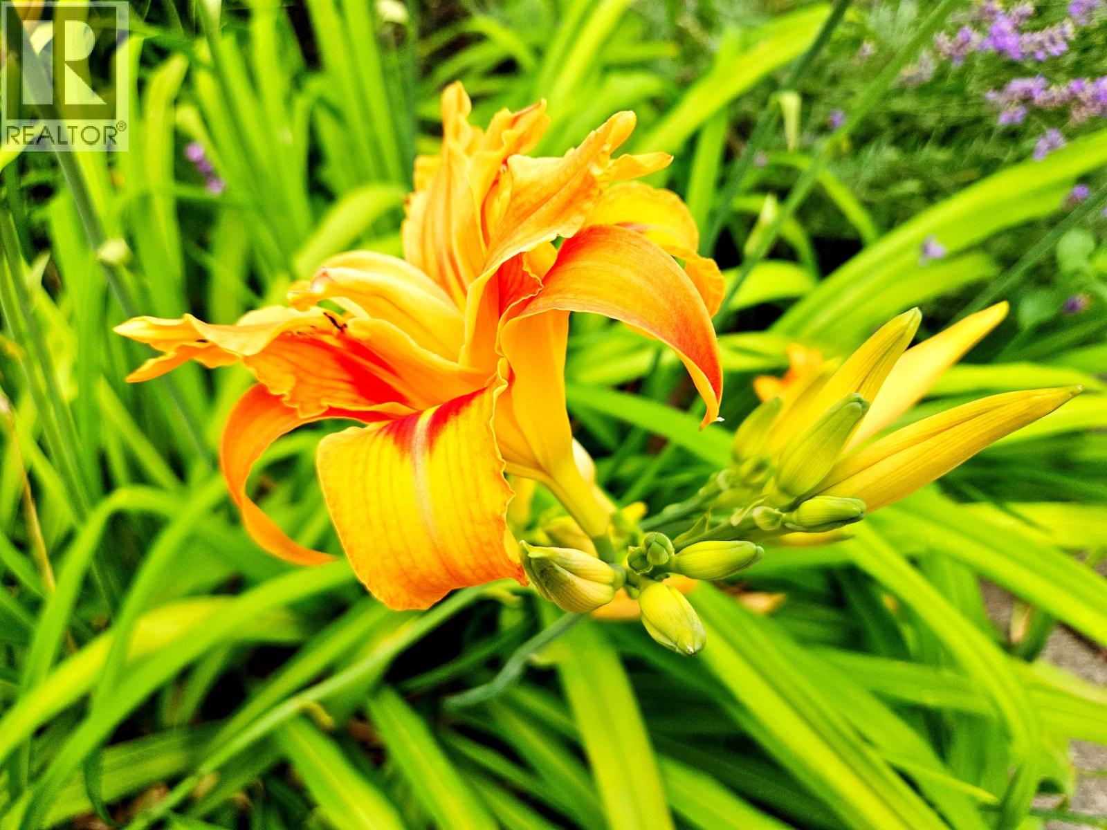 Thumbnail 27