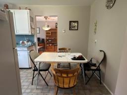 118 Mckenzie Street S, Shoal Lake, MB R0J1Z0 Photo 16