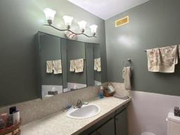 118 Mckenzie Street S, Shoal Lake, MB R0J1Z0 Photo 19