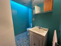 118 Mckenzie Street S, Shoal Lake, MB R0J1Z0 Photo 36