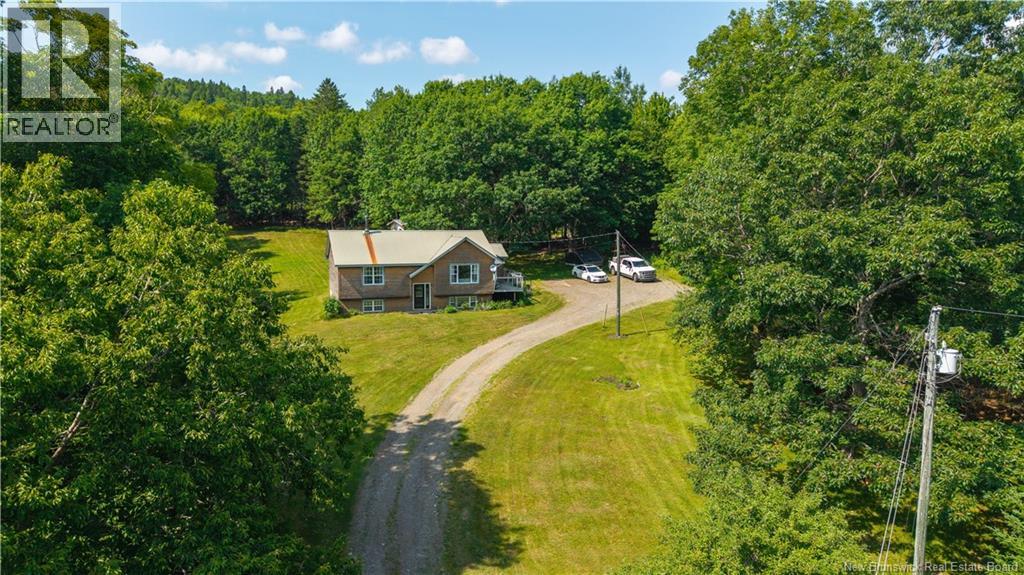 31 Hills Road - 48