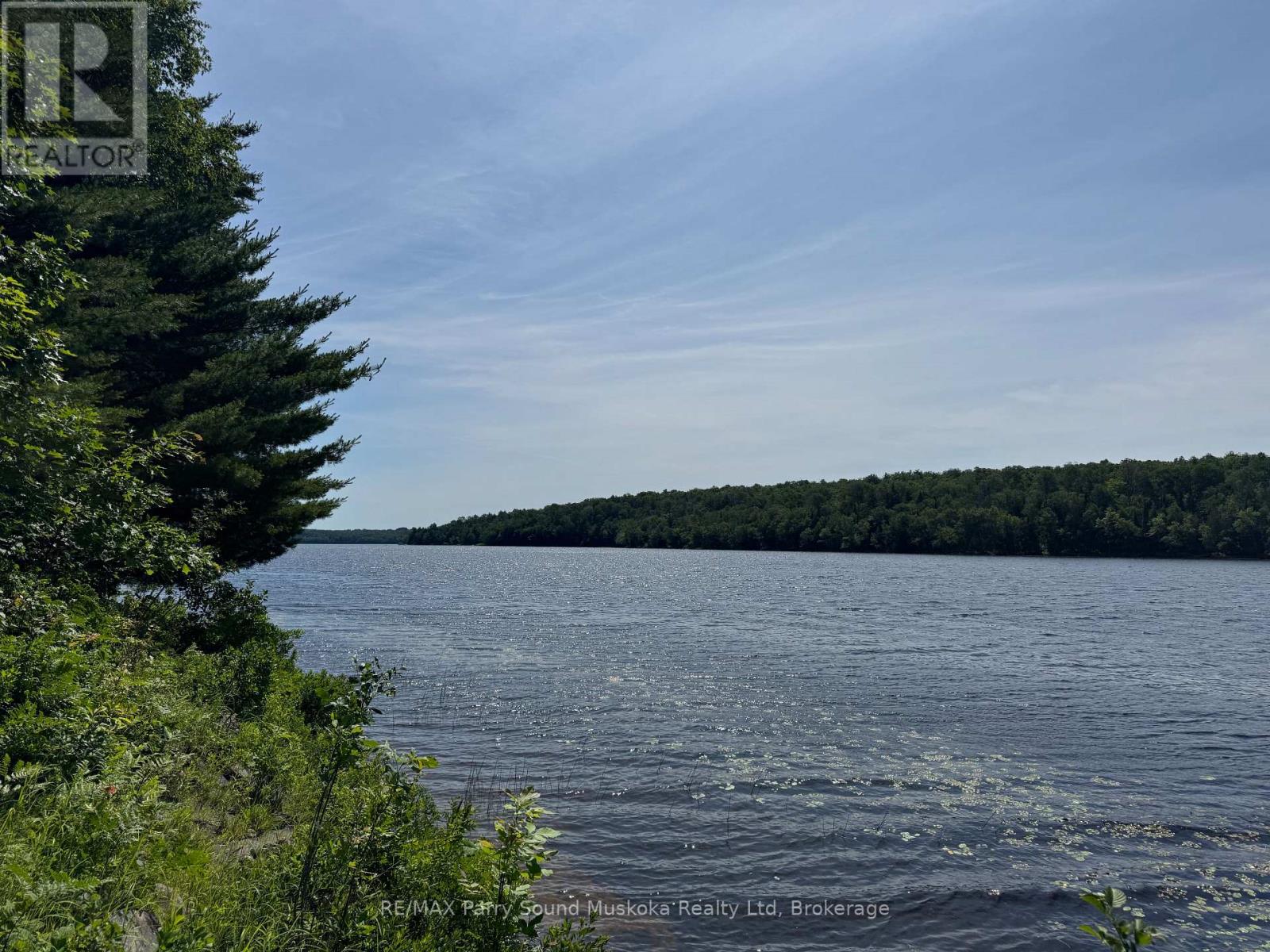 1117 LIMBERLOST POINT ROAD - 6