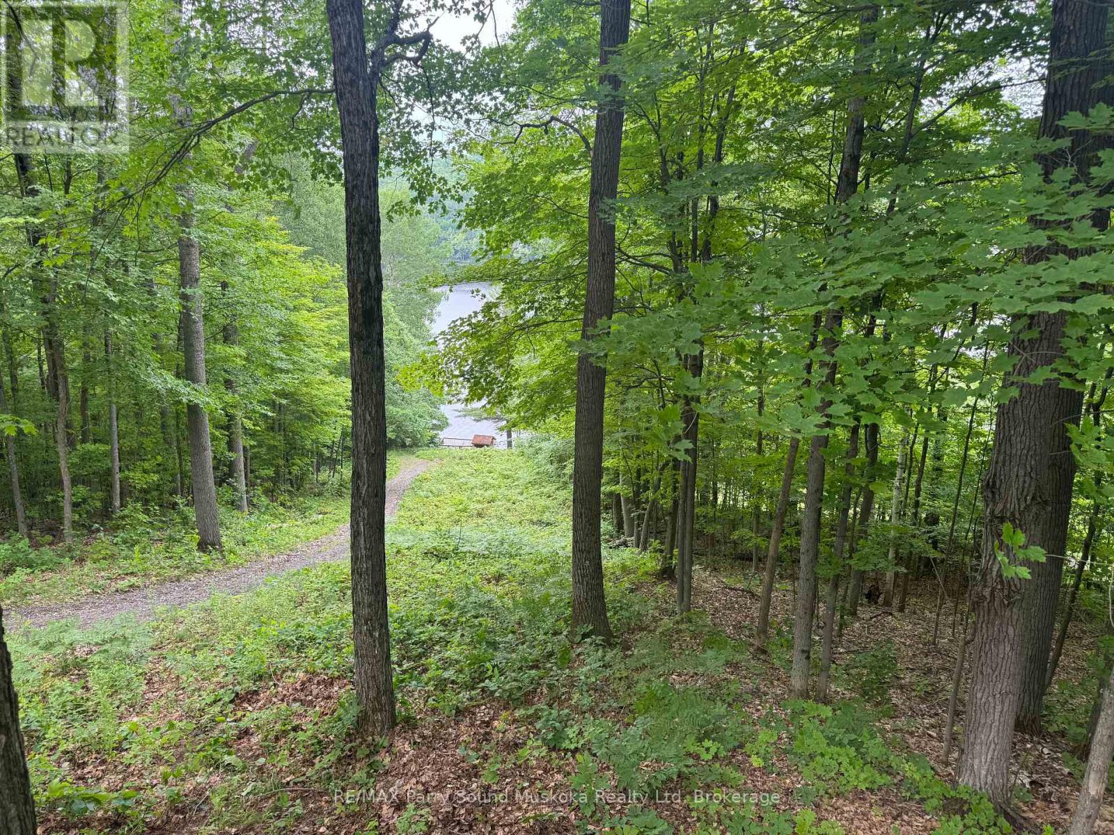 1117 LIMBERLOST POINT ROAD - 5