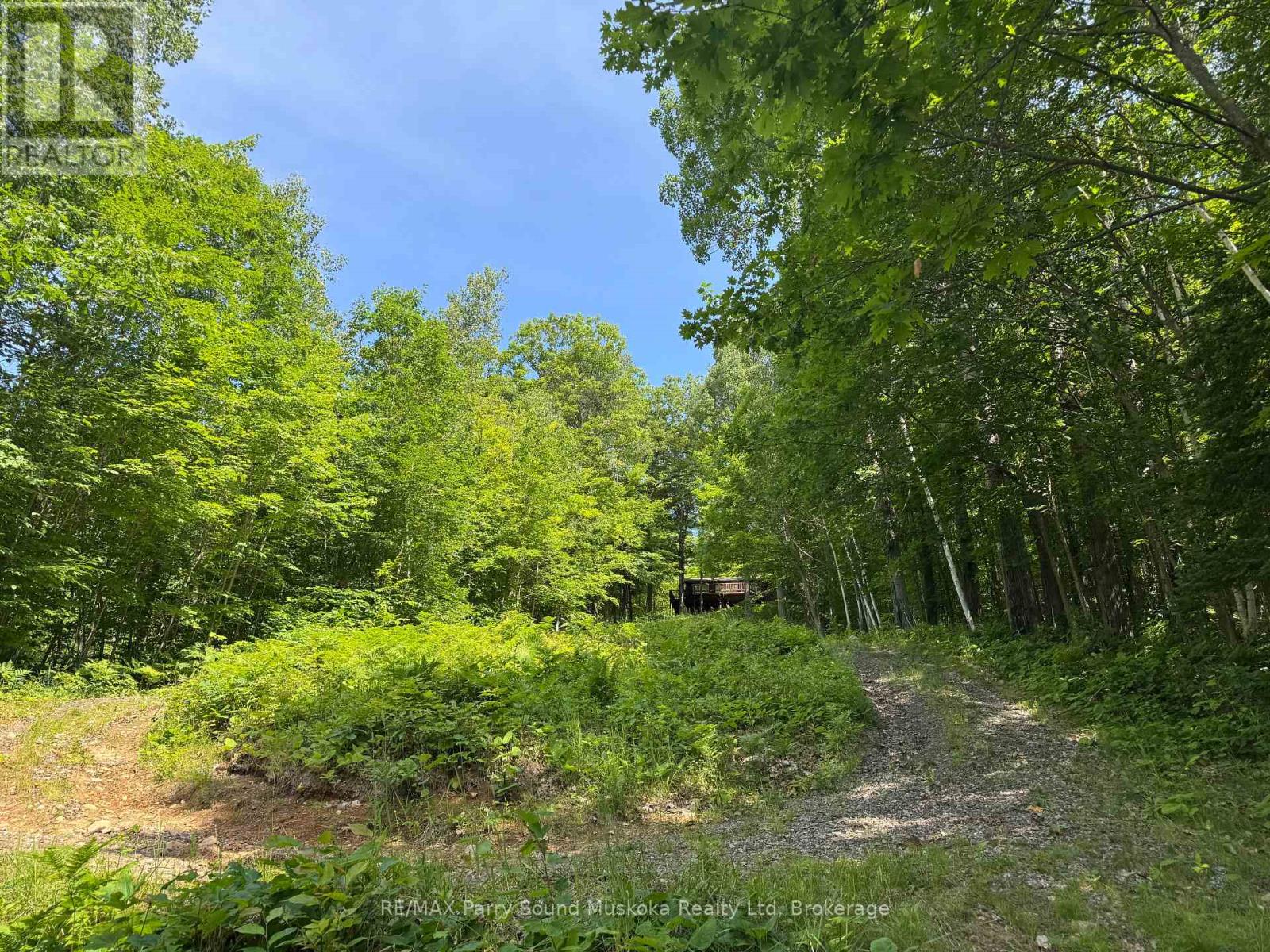 1117 LIMBERLOST POINT ROAD - 12