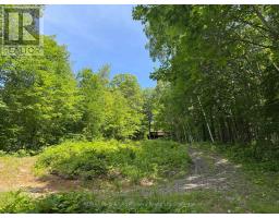 1117 Limberlost Point Road, Parry Sound Remote Area, ON P0H2R0 Photo 12