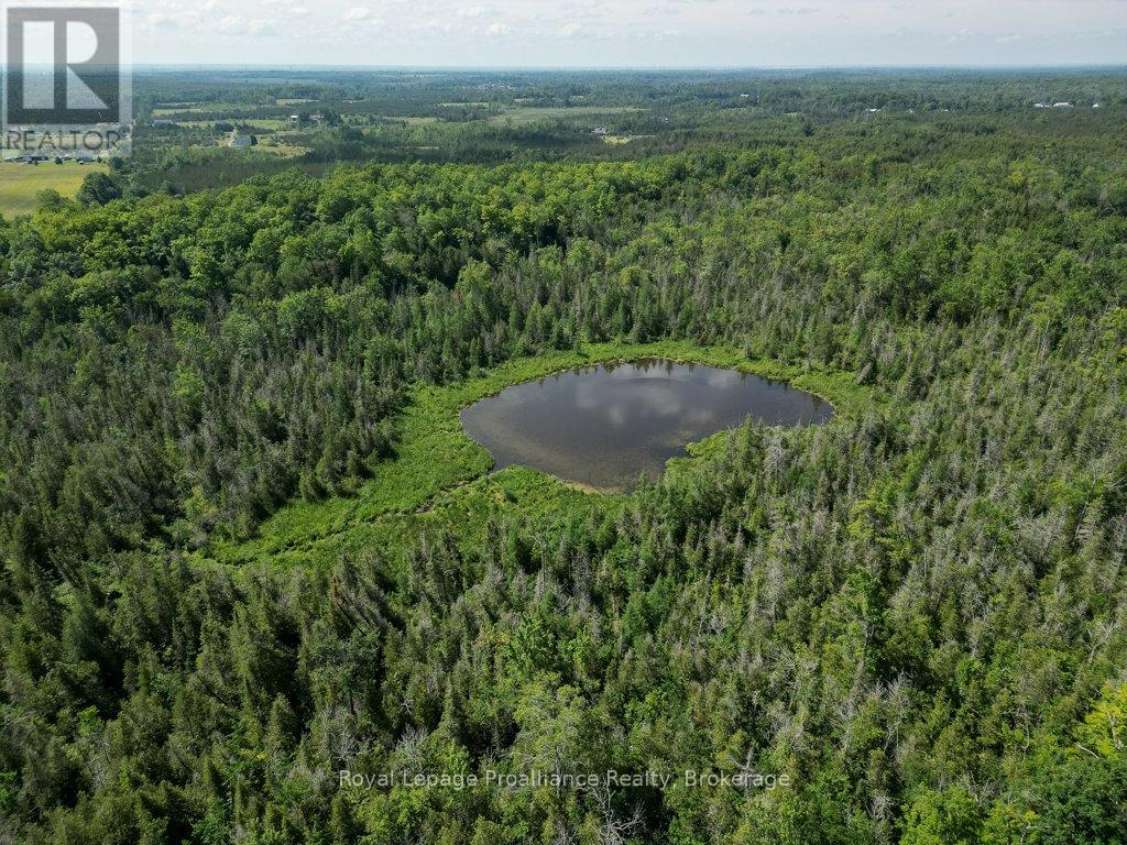 1075 ENRIGHT ROAD - Image 45