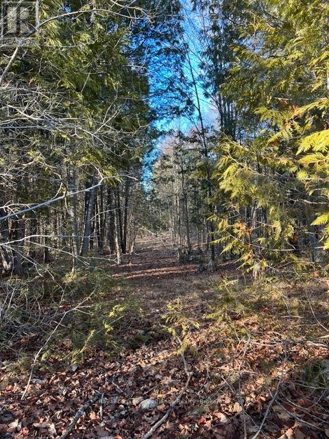 1075 ENRIGHT ROAD - Image 47