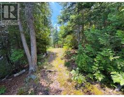 473 North Meadowcove Road, Whitestone, ON P0A1G0 Photo 6