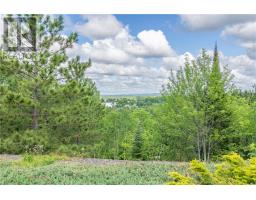 2981 Valleyview Road, Blezard Valley, ON P3N1R2 Photo 74