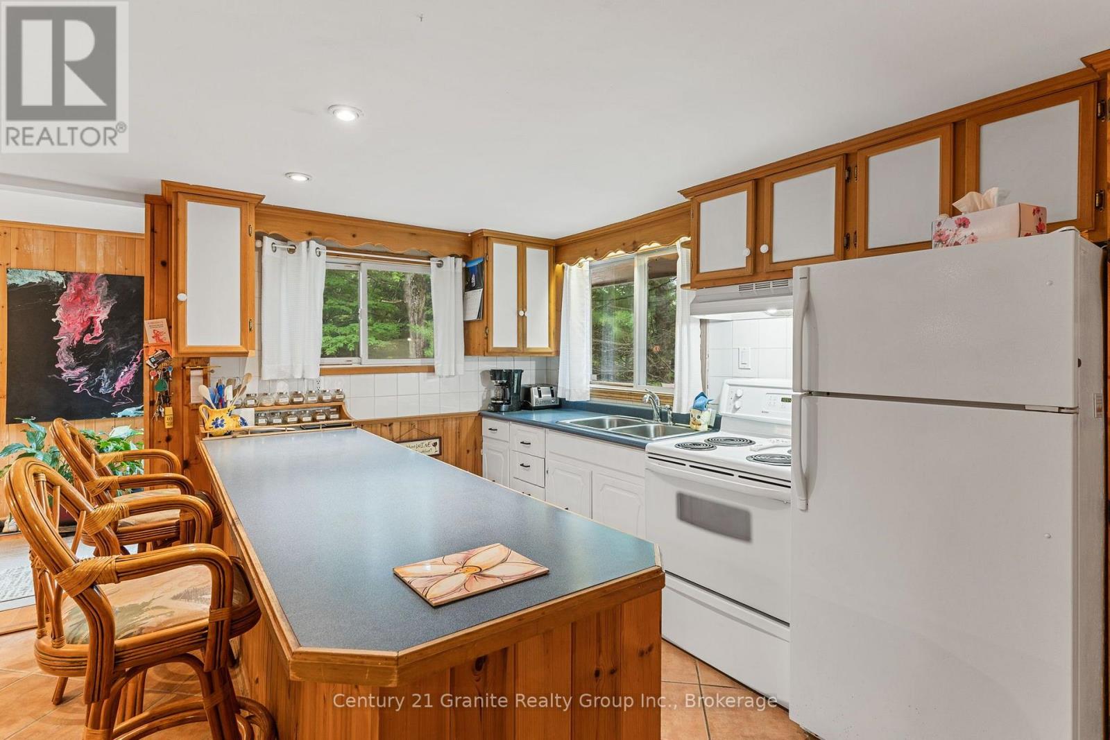 1109 BURNT POINT TRAIL - 9