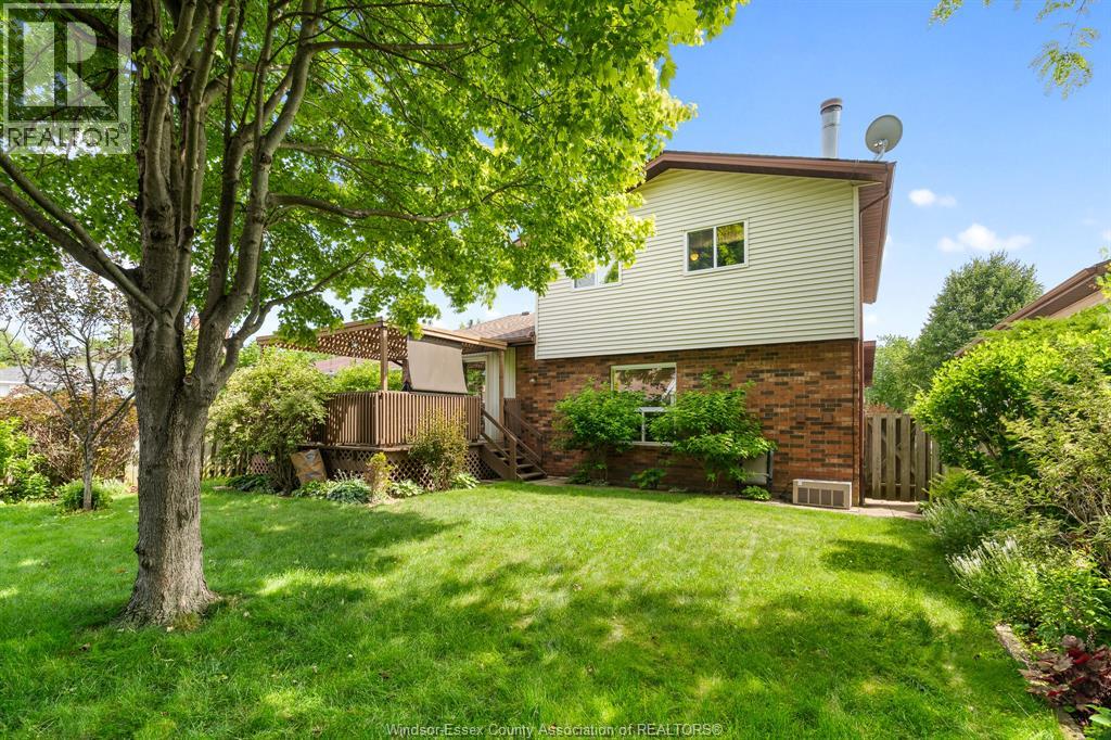 29 Alderton STREET - 3
