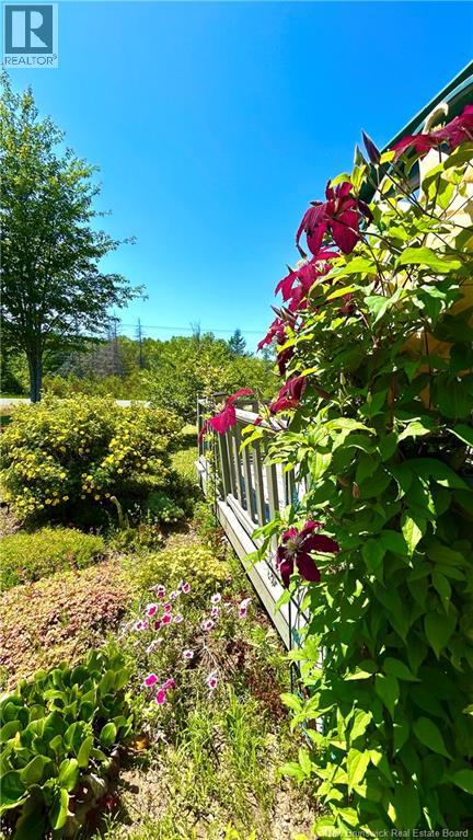 114 Rue du Pont - 31