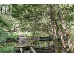 495144 Traverston Road, West Grey, ON N0C1H0 Photo 30