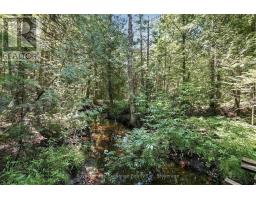 495144 Traverston Road, West Grey, ON N0C1H0 Photo 31