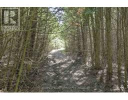 495144 Traverston Road, West Grey, ON N0C1H0 Photo 33